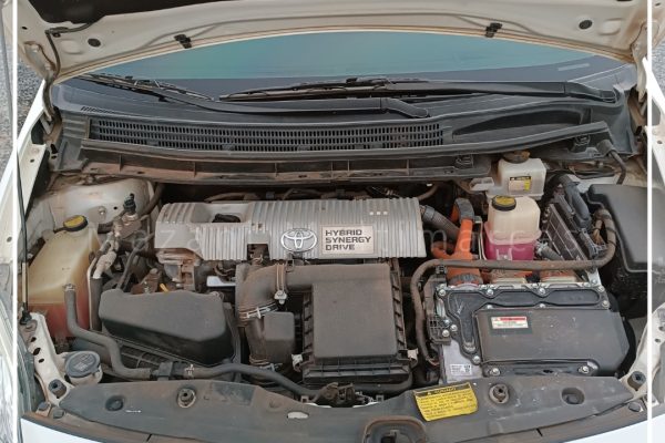 WhatsApp-Image-2025-09-10-at-16.39.08-1