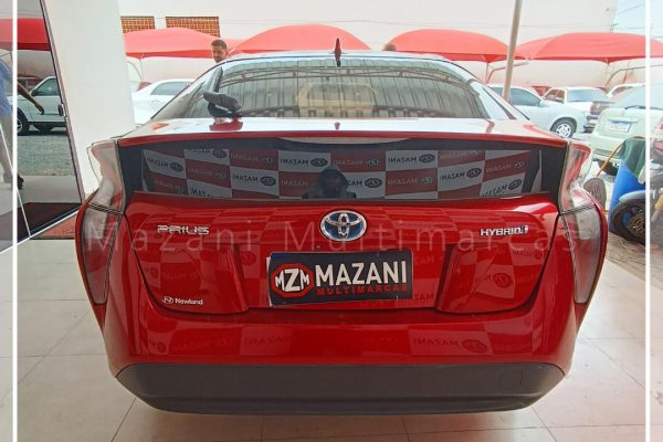 WhatsApp-Image-2025-09-10-at-17.44.41-1