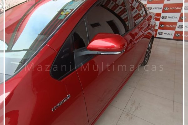 WhatsApp-Image-2025-09-10-at-17.44.41