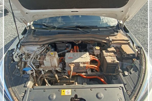 WhatsApp-Image-2025-09-10-at-17.53.27