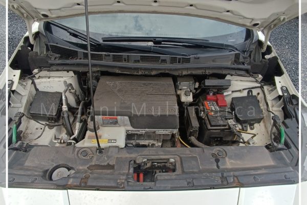 WhatsApp-Image-2025-09-10-at-17.56.24-7