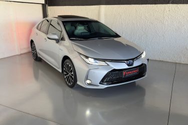 WhatsApp-Image-2025-10-14-at-16.43.25-1-1